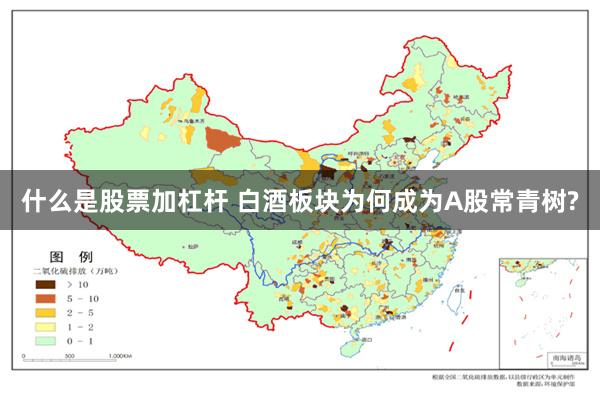 什么是股票加杠杆 白酒板块为何成为A股常青树?