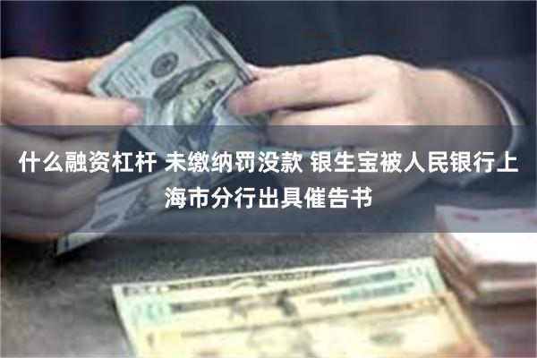 什么融资杠杆 未缴纳罚没款 银生宝被人民银行上海市分行出具催告书